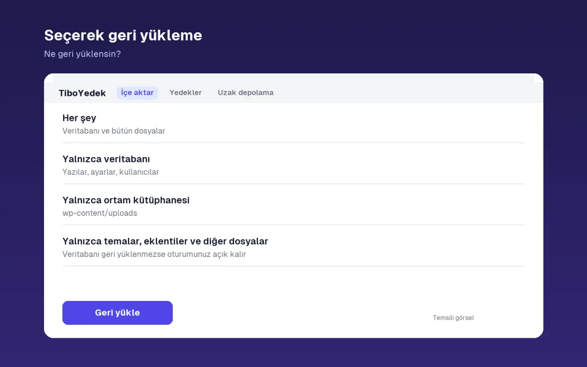 Seçerek geri yükleme