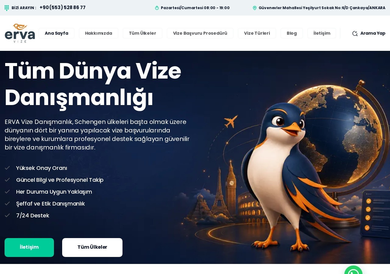 Tum Dunya Vizesi - Site Yapımı web sitesi