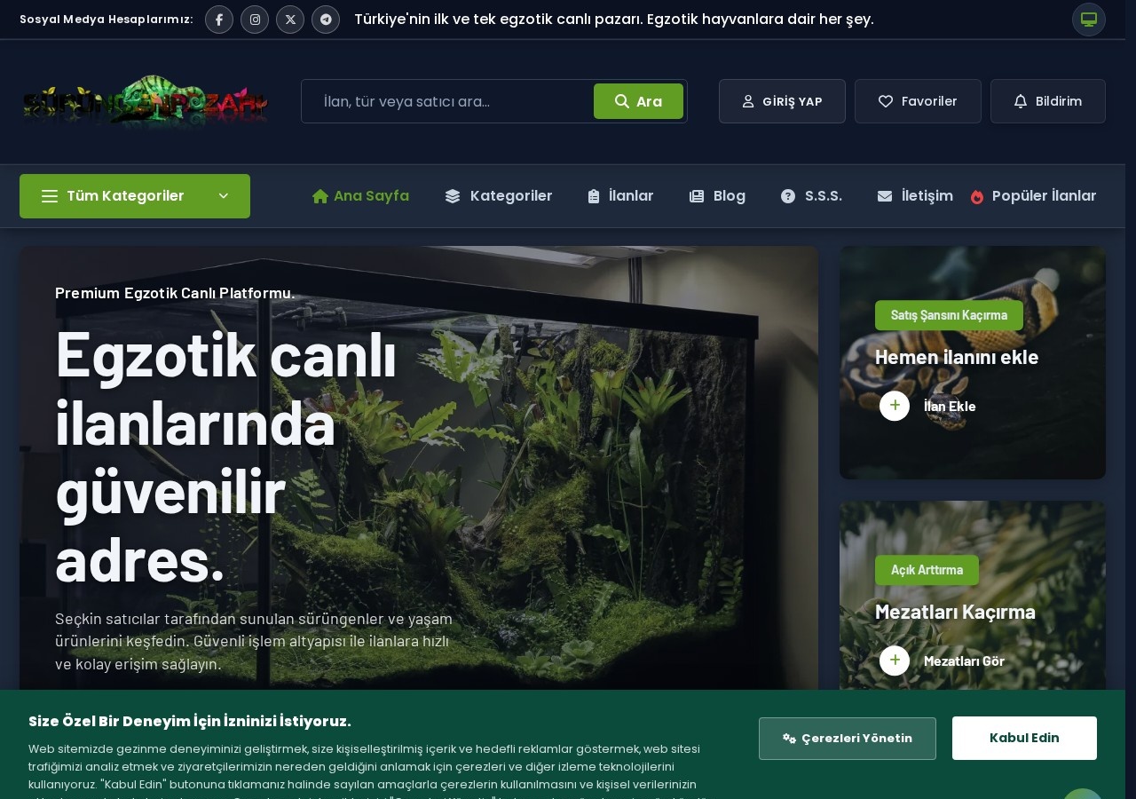 Sürüngen Pazarı - Site Yapımı Kodlaması & Güvenliği web sitesi